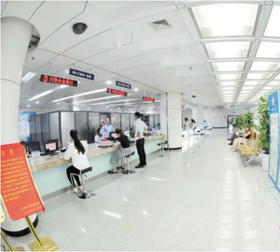 創新驅動，智領未來——長沙高新技術產業開發區政務服務中心技術服務與技術開發新篇章